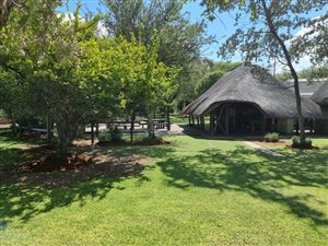 503 ha Farm in Rooiberg