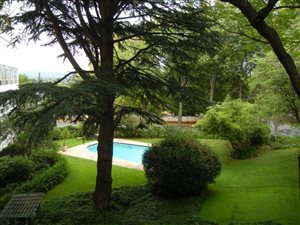 3 Bed Apartment in Birdhaven