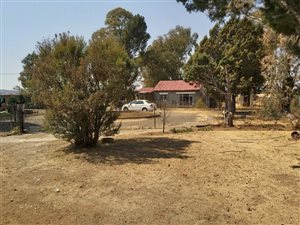 4.3 ha Smallholding in Lakeview