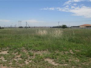 1000 m² Land available in Struisbult