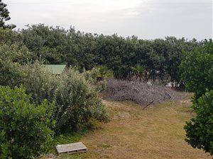 1033 m² Land available in Kini Bay