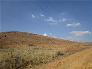 10 ha Land available in Eikenhof