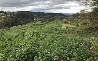 2.9 ha Land available in Winterskloof