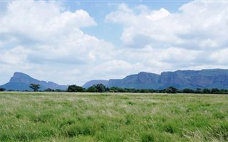 65 ha Farm in Sterkrivier