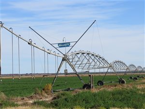 813 ha Farm in Douglas