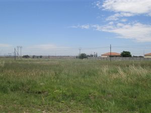 1000 m² Land available in Struisbult