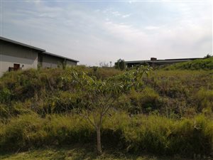 463 m² Land available in Tinley Manor and surrounds