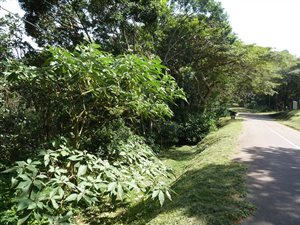 4048 m² Land available in Crestview
