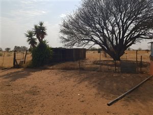 17 ha Farm in Stella