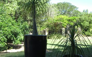 3 Bedroom House in Mossel Bay