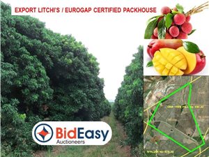 1426.5 ha Farm in Malelane