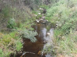 9 ha Farm in Great Brak River