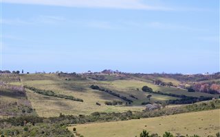 47.8 ha Land available in Plettenberg Bay