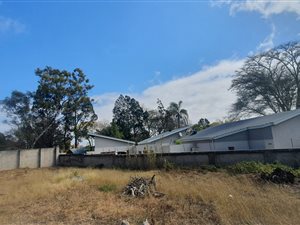 1005 m² Land available in Welgelegen
