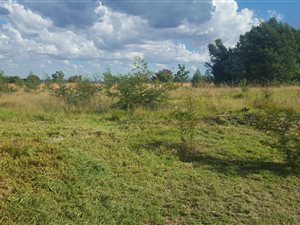 2445 m² Land available in Verresig Country Estate
