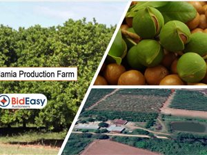 16 ha Farm in White River AH