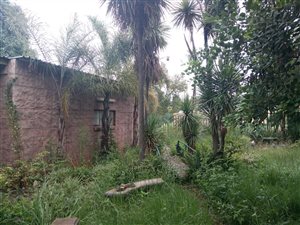4 Bed House in Blanchville