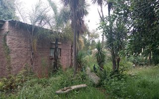 4 Bedroom House in Blanchville