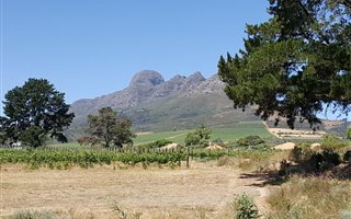 5 ha Farm in Helderberg Estate