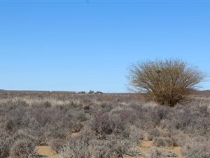 7708 ha Farm in Calvinia