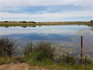 938 ha Farm in Modimole (Nylstroom)
