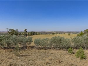 8.9 ha Land available in Lanseria and surrounds