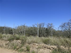 2023 m² Land available in Bathurst and Surrounds