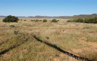 992 ha Land available in Fauresmith