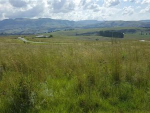 905 m² Land available in Winterton