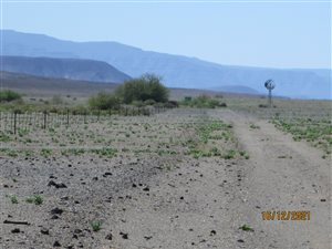 1576 ha Farm in Calvinia