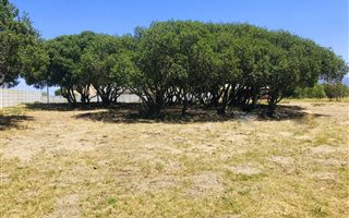 871 m² Land available in Fisherhaven