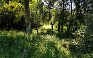 2306 m² Land available in Nottingham Road