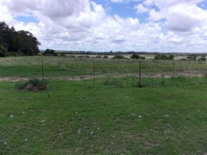 831 ha Farm in Theunissen