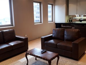 1 Bedroom Apartment in Newtown