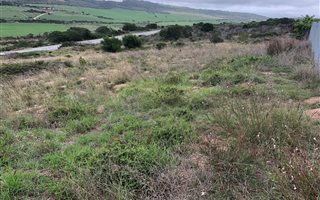 535 m² Land available in Reebok