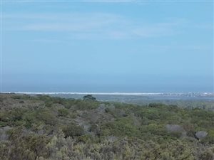 250 ha Farm in Kabeljous