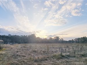 2 ha Land available in Bloemfontein Rural