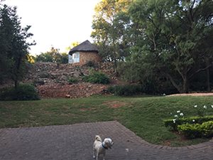 887 m² Land available in Murrayfield
