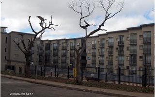 Studio Apartment in Braamfontein