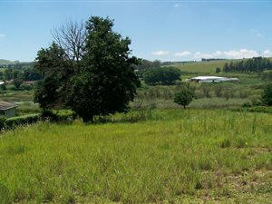 2970 m² Land available in Rosetta