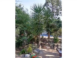 1 Bed Garden Cottage in Blairgowrie