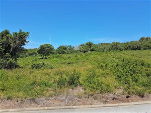 926 m² Land available in Wilderness