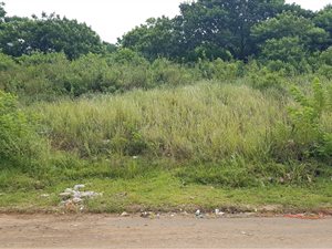 452 m² Land available in Belvedere