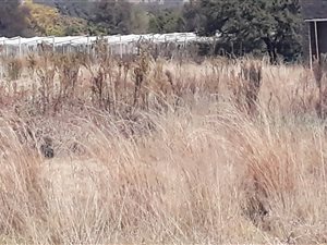 9508 m² Land available in The Orchards