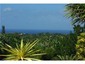 1632 m² Land available in Trafalgar