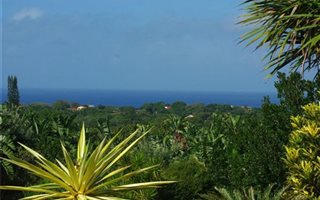 1632 m² Land available in Trafalgar