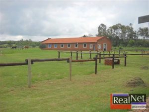 13.1 ha Farm in Klipkop