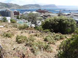 602 m² Land available in Simons Town