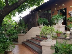 7 Bed House in The Gardens