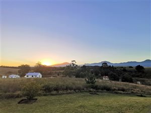 25 ha Farm in George Central